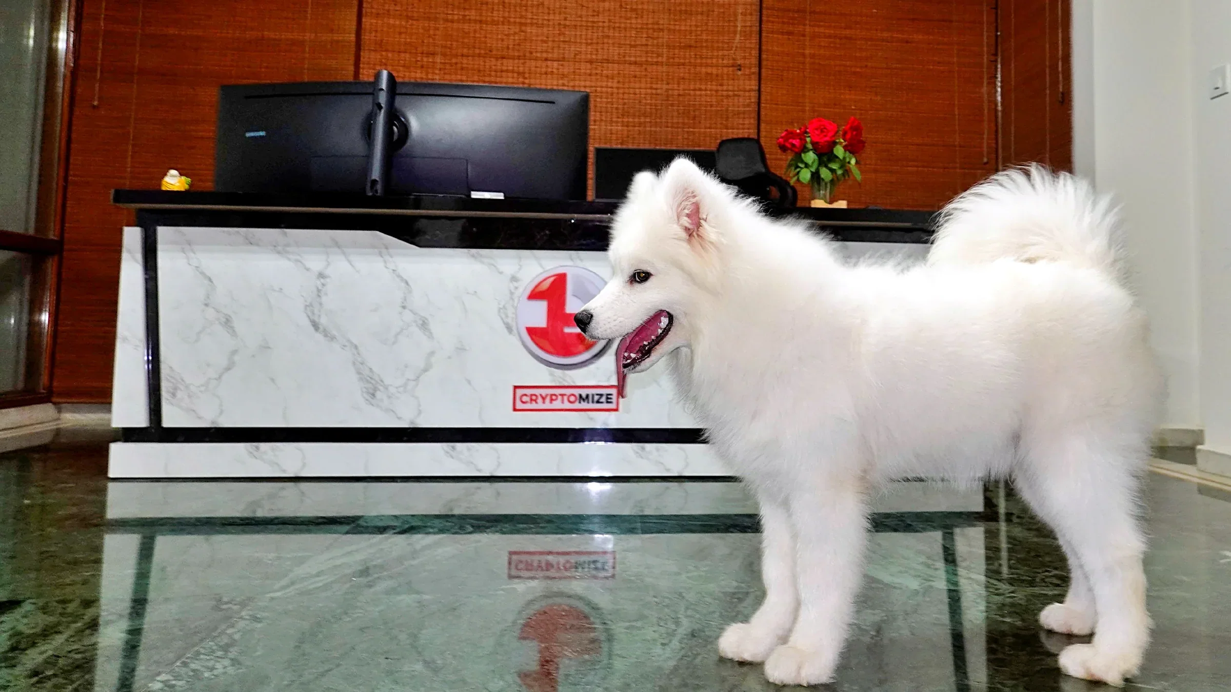 Lithvik Mukesh Sharma is photographed with a Samoyed at his farm house.